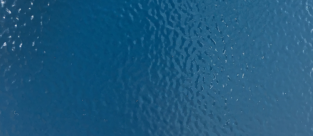 шагрень порошковая краска